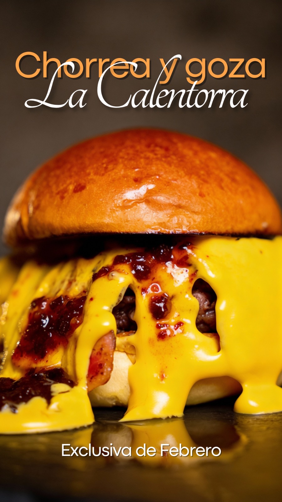 WhatsApp Image 2026-02-05 at 19.22.40 (1)